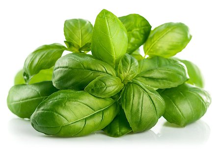 simsearch:400-09096754,k - Fresh green leaf basil. Isolated on white background Foto de stock - Super Valor sin royalties y Suscripción, Código: 400-08373679