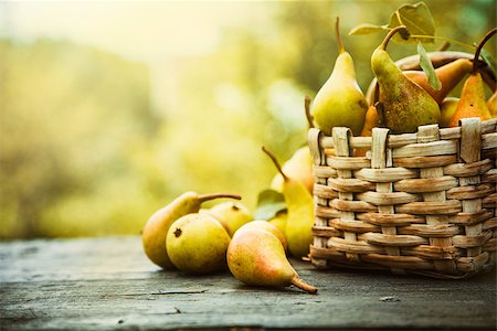 pear with leaves - Autumn nature concept. Fall pears on wood. Thanksgiving dinner Stock Photo - Budget Royalty-Free & Subscription, Code: 400-08399834