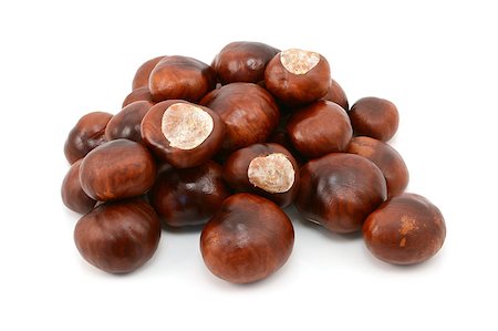 Shiny brown conkers from a horse chestnut tree, isolated on a white background Photographie de stock - Aubaine LD & Abonnement, Code: 400-08404150