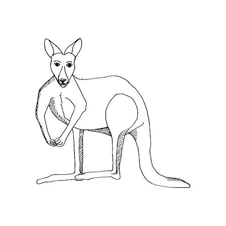 hand draw a kangaroo-style sketch on a black and white background, used for banners, flyers, coloring books, tattoo Stock Photo - Budget Royalty-Free & Subscription, Code: 400-08404297