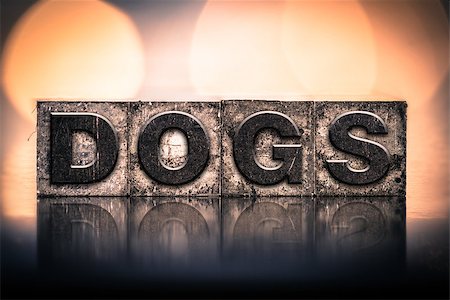 simsearch:400-08406088,k - The word "DOGS" written in vintage ink stained letterpress type. Stock Photo - Budget Royalty-Free & Subscription, Code: 400-08404484