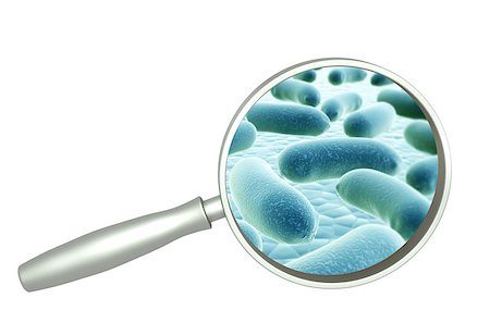 3d magnifying glass and colony of pathogen bacteria. Object isolated on white background Stock Photo - Budget Royalty-Free & Subscription, Code: 400-08404643