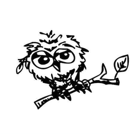 cute angry little owl cartoon, line art Stock Photo - Budget Royalty-Free & Subscription, Code: 400-08404776