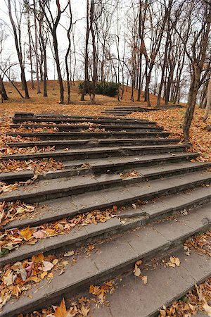 simsearch:400-06100141,k - Stairs in the fall with  brown  leaves Stock Photo - Budget Royalty-Free & Subscription, Code: 400-08404913