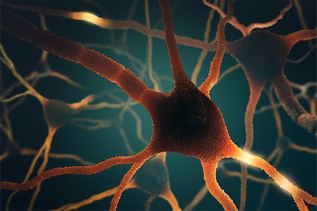 Image concept of neurons interconnected in a complex brain network. Stockbilder - Microstock & Abonnement, Bildnummer: 400-08405123