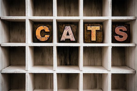 simsearch:400-08407055,k - The word "CATS" written in vintage ink stained wooden letterpress type in a partitioned printer's drawer. Foto de stock - Super Valor sin royalties y Suscripción, Código: 400-08406152