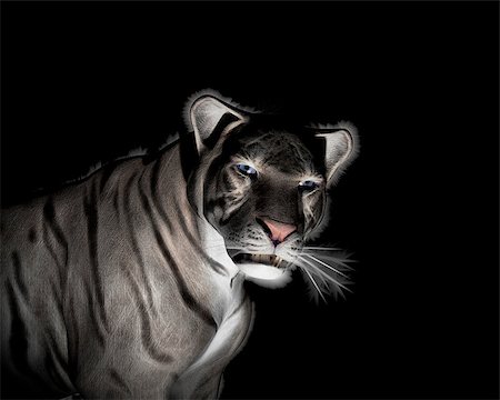 simsearch:400-08977855,k - White Tiger Illustration at black background Photographie de stock - Aubaine LD & Abonnement, Code: 400-08406334
