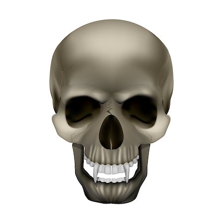 simsearch:400-04211599,k - Vector skull vampire monster with fangs. Isolated object on a white background, can be used with any image. Stock Photo - Budget Royalty-Free & Subscription, Code: 400-08406403