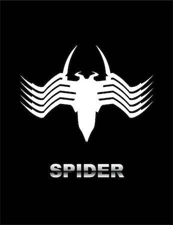 simsearch:400-08200203,k - Elegant White Spider isolated on a black background. Stock Photo - Budget Royalty-Free & Subscription, Code: 400-08406472