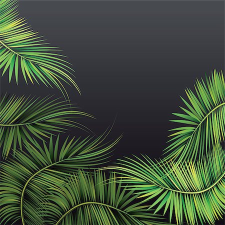 serjiob74 (artist) - Palm tree branches on dark background. Vector illustration. Foto de stock - Super Valor sin royalties y Suscripción, Código: 400-08406711