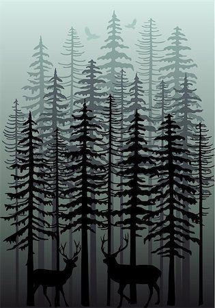 silhouettes of eagle in tree - Deer in foggy winter forest with fir trees, vector illustration Stock Photo - Budget Royalty-Free & Subscription, Code: 400-08406935