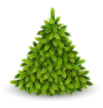 Christmas Tree Pine Isolated on White Background Fotografie stock - Microstock e Abbonamento, Codice: 400-08407144