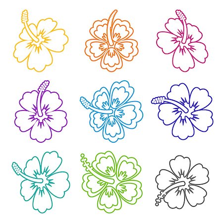 Colorful vector hibiscus flower outline icons on white Stock Photo - Budget Royalty-Free & Subscription, Code: 400-08407721
