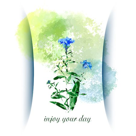 Vector greeting card with wild flowers. Summer background Stock Photo - Budget Royalty-Free & Subscription, Code: 400-08407858