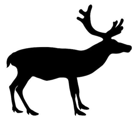 simsearch:400-07062357,k - Silhouette deer with great antler on white background. Vector illustration. Fotografie stock - Microstock e Abbonamento, Codice: 400-08408389