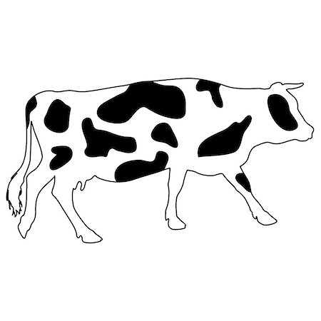simsearch:400-09115208,k - Silhouettes of spotted cow. Vector illustration. Foto de stock - Super Valor sin royalties y Suscripción, Código: 400-08408380