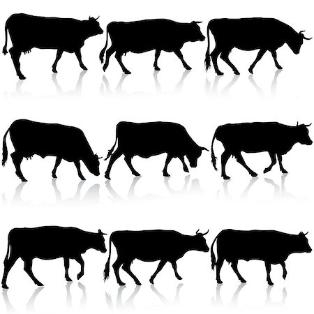 simsearch:400-09115208,k - Collection  black silhouettes of cow. Vector illustration. Foto de stock - Super Valor sin royalties y Suscripción, Código: 400-08408381