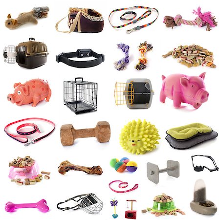 pet accessories in front of white background Stock Photo - Budget Royalty-Free & Subscription, Code: 400-08408659