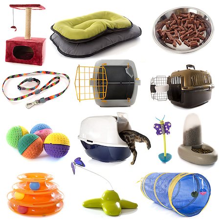 group of cat accessories Foto de stock - Super Valor sin royalties y Suscripción, Código: 400-08408668