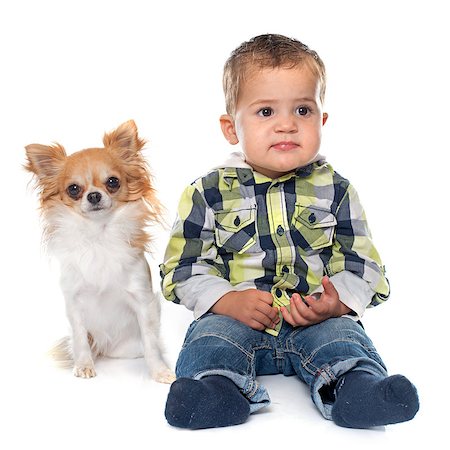 simsearch:400-08412999,k - little boy and dog in front of white background Foto de stock - Super Valor sin royalties y Suscripción, Código: 400-08409056