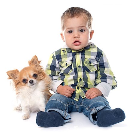 simsearch:400-08412999,k - little boy and dog in front of white background Foto de stock - Super Valor sin royalties y Suscripción, Código: 400-08409057