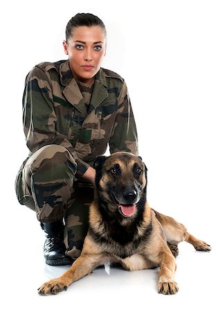 woman soldier and malinois in front of white background Foto de stock - Super Valor sin royalties y Suscripción, Código: 400-08409060