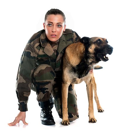 woman soldier and malinois in front of white background Foto de stock - Super Valor sin royalties y Suscripción, Código: 400-08409062