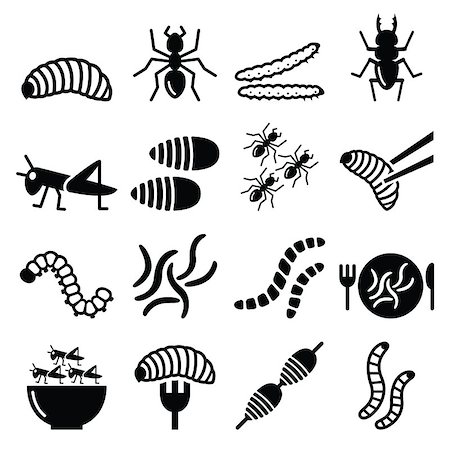 plate of insects - Food and nature icons set - maggots, bugs isolated on white Stock Photo - Budget Royalty-Free & Subscription, Code: 400-08409131