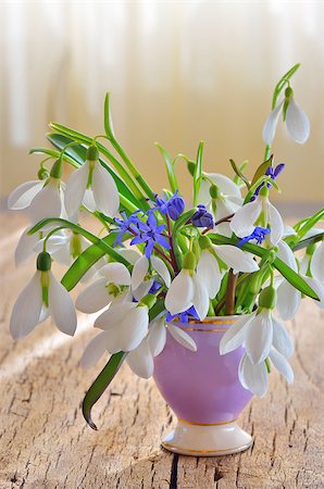 Snowdrops in vase on wooden background Stock Photo - Budget Royalty-Free & Subscription, Code: 400-08409885