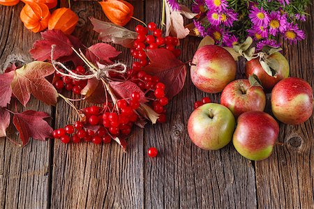 simsearch:400-07932348,k - Fall harvesting viburnum on rustic wooden table Foto de stock - Super Valor sin royalties y Suscripción, Código: 400-08400069