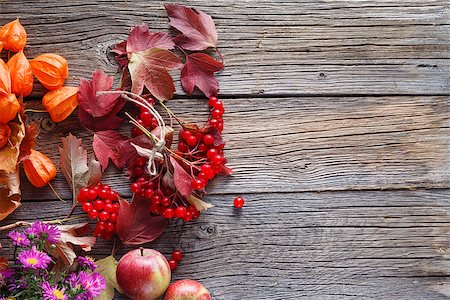 simsearch:400-07932348,k - Fall harvesting viburnum and apples on rustic wooden background Foto de stock - Super Valor sin royalties y Suscripción, Código: 400-08400070