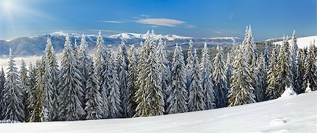 simsearch:400-04639977,k - Winter calm mountain landscape with rime and snow covered spruce trees and sunshine. Photographie de stock - Aubaine LD & Abonnement, Code: 400-08401104