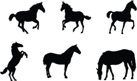 simsearch:400-04397242,k - The set of 6 horse silhouette available in high-resolution and several sizes to fit the needs of your project. Foto de stock - Super Valor sin royalties y Suscripción, Código: 400-08401614