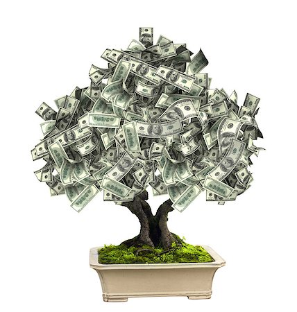 simsearch:400-04557458,k - 3d money tree with dollar banknotes. Isolated on white background Photographie de stock - Aubaine LD & Abonnement, Code: 400-08401901
