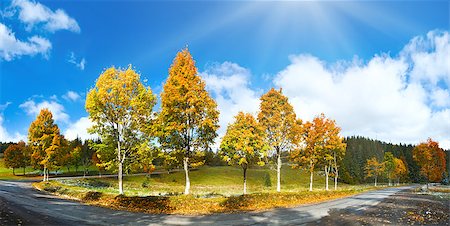 First winter snow and autumn colorful trees near country road (Carpathian, Ukraine) Stock Photo - Budget Royalty-Free & Subscription, Code: 400-08401988