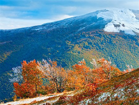 simsearch:400-05713513,k - October Carpathian mountain Borghava plateau with first winter snow and autumn colourful foliage Stock Photo - Budget Royalty-Free & Subscription, Code: 400-08401989