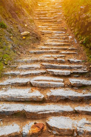 stone path in mountains in Nepal, Annapurna trekking Stock Photo - Budget Royalty-Free & Subscription, Code: 400-08402079