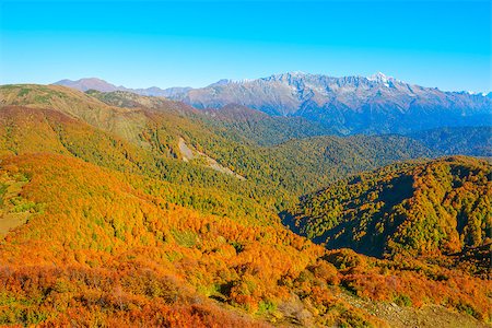 simsearch:400-09070594,k - Autumn view of the trees on the cliffs. Stock Photo - Budget Royalty-Free & Subscription, Code: 400-08403380