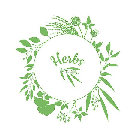 Fresh herbs store emblem. Green round frame with collection of plants. Silhouette of branches isolated on white background Stock Photo - Budget Royalty-Free & Subscription, Code: 400-08414675