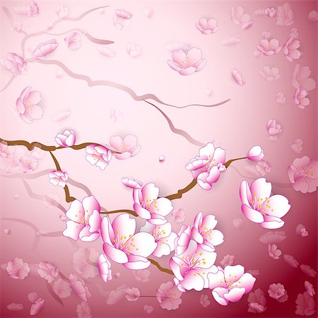 simsearch:400-07427493,k - Vintage Spring Background With Flying Cherry Blossom. Vector illustration Foto de stock - Royalty-Free Super Valor e Assinatura, Número: 400-08416007