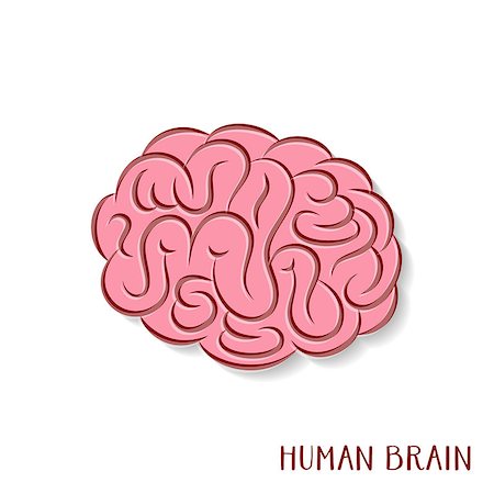 simsearch:400-04647012,k - Colorful abstract human brain icon vector illustration Foto de stock - Royalty-Free Super Valor e Assinatura, Número: 400-08410777
