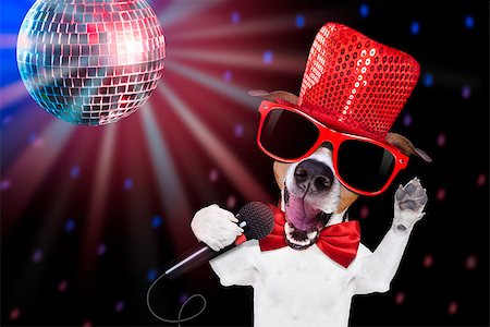 jack russell terrier dog isolated on black background singing with microphone a karaoke song in a night club, disco ball in background Stock Photo - Budget Royalty-Free & Subscription, Code: 400-08411675