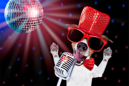 simsearch:400-08530618,k - jack russell terrier dog isolated on black background singing with microphone a karaoke song in a night club, disco ball in background Foto de stock - Royalty-Free Super Valor e Assinatura, Número: 400-08412210