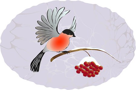 simsearch:400-08407796,k - Winter landscape. Bullfinch on the branch of rowan. EPS10 vector illustration. Foto de stock - Royalty-Free Super Valor e Assinatura, Número: 400-08412296