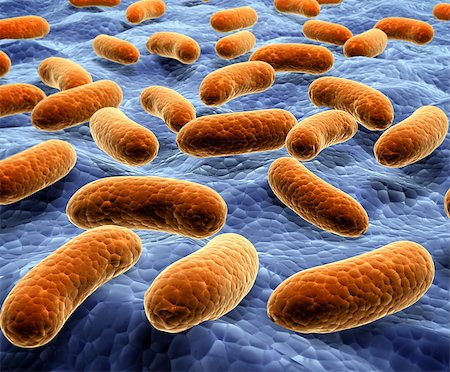 simsearch:400-04337180,k - Pathogen bacteria on the surface.  3d render Stock Photo - Budget Royalty-Free & Subscription, Code: 400-08412319