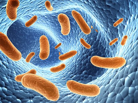 simsearch:400-04337180,k - Pathogen bacteria.  3d render Stock Photo - Budget Royalty-Free & Subscription, Code: 400-08412320