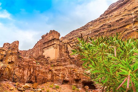 rose bay - Facade of a beautiful building in the archaeological site of Petra, Jordan, with oleander plant in the foreground. Foto de stock - Royalty-Free Super Valor e Assinatura, Número: 400-08412339