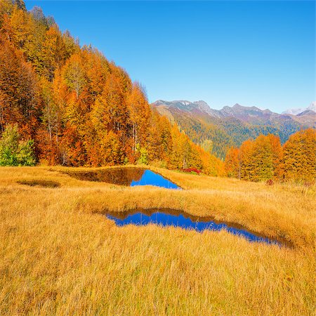 simsearch:400-09070594,k - Small lakes by the autumn mountain forest. Stock Photo - Budget Royalty-Free & Subscription, Code: 400-08412461