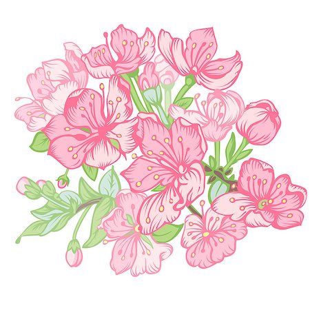 simsearch:400-07680595,k - Pink flowers of Apple isolated on a white background. All elements are made separately and grouped.   Vector illustration. Foto de stock - Royalty-Free Super Valor e Assinatura, Número: 400-08412889