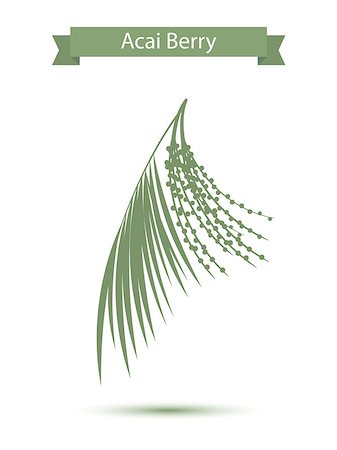 Acai palm leaves and acai berries vector illustration isolated on white background. Superfood acai green silhouette berry Stock Photo - Budget Royalty-Free & Subscription, Code: 400-08413133